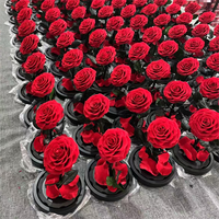 Rosa Ewige Rosen OEM Unvergängliche Blumen in Glaskuppel mit Warmem Licht für Geschenkeläden, Hochzeiten und Heimdekoration