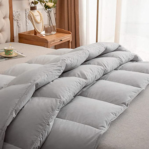 2025 Phổ Biến Thoải Mái Bông Ấm Mền Mô Hình Puffy Giường Duvet Quilted Comforter - Product Image 6