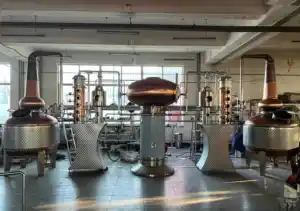 1000 литров полностью автоматическое спиртовое оборудование для виски бренди ромовый Джин