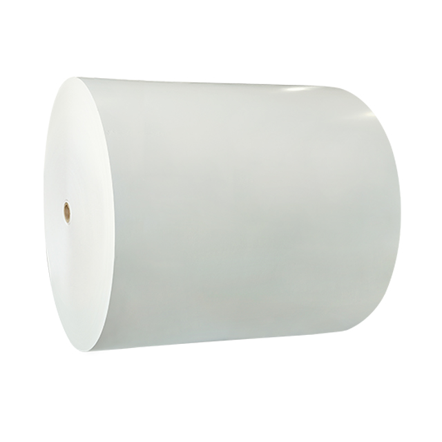 Best Price High Quality 200gsm-400gsm Food Grade Fbb Board C1S White Cardboard A4 Size Print Free Sample in Reel in Sheet