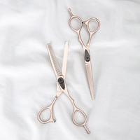 Ciseaux de coiffure professionnels Wanmei Salon en acier inoxydable 6Cr13 pour effilage et coupe de cheveux