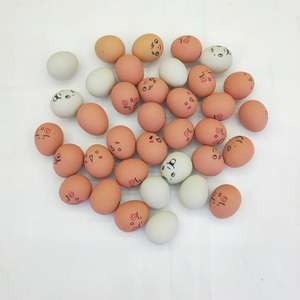 Jouet de balle d'oeuf rebondissante de visage émotionnel 60 grammes Simulation en caoutchouc jouet de style sportif intéressant pour animaux de compagnie - Product Image 2