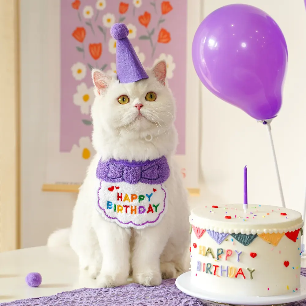 Vente chaude en gros Super mignon animal de compagnie anniversaire bavoir foulards décorations de noël petite écharpe joyeux anniversaire chat cadeau