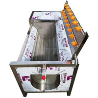 Machine à laver et à éplucher le manioc Miltfunctionial Carrot Peeling Equipment Machine automatique de nettoyage et d'épluchage de pommes de terre