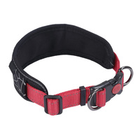Collier pour chien robuste et large, ultra confortable, rembourré, avec surpiqûres réfléchissantes et anneau en D en métal