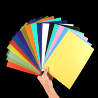 Feuille de PVC semi-transparente givrée, épaisseur uniforme, résistante aux déchirures, panneau plastique transparent pour signalétique