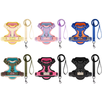 Harnais pour chien en polyester respirant et anti-étouffement avec doubles anneaux en D, patchwork contrasté, confortable et durable