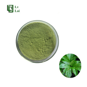 Bubuk <span class=keywords><strong>Ashitaba</strong></span> Kelas Makanan Kemurnian Tinggi Pasokan Besar Bubuk <span class=keywords><strong>Ashitaba</strong></span> Sepenuhnya Larut dalam Air - Product Image 1
