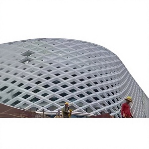 Panel de pared exterior moderno de aluminio con superficie anodizada, diseño contemporáneo para revestimiento exterior de edificios. - Product Image 1