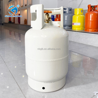 Bouteille de gaz GPL en acier personnalisée de 9 kg (20 lb) pour la cuisson domestique, certifiée ISO, directement de l'usine, Mexique
