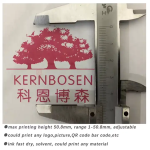 YAOMATEC 25,4 MM <span class=keywords><strong>Datos</strong></span> variables Fecha de caducidad Logo QRCode Impresora de inyección de tinta de código de barras Impresora TIJ automática en línea para bolsas de plástico - Product Image 4