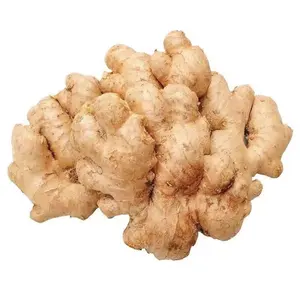 High quality Dry Ginger Professional export Fresh Clean ginger for wholesale with global gap 2023 new crop Shipped within a week