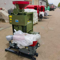 Machine de traitement du riz Paddy 2SB, moteur électrique ou diesel en option, pour petit moulin à riz