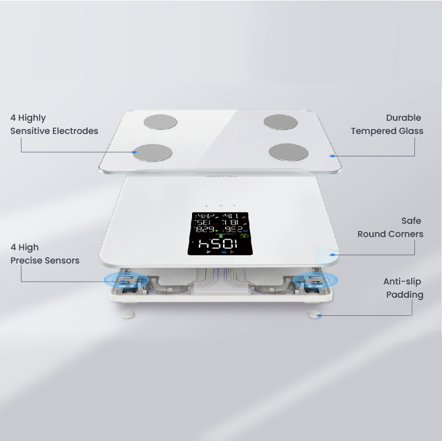 TRANSTEK Body Fat Analyzer X-Large 80x120mm Glass LED Display 8 User Profiles Smart Digital 180kg Capacity BIA Battery App