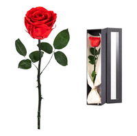 TC Groothandel Hot Selling Moederdag Valentijnsdag Bruiloft Cadeau Echte Aanraakbare Ge conserveerde Bloem Enkel Roos met Steel Unieke Cadeaus