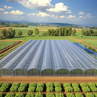 Fournisseur de serres : Kits de serres multi-chapelles en acier galvanisé de 1000 m² avec film PVC et couverture en PE, provenant d'un fabricant du Jiangsu