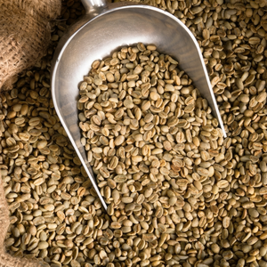 Café en grano verde New Harvest-Granos de café Premium Robusta/Arábica-Mejor venta a buen precio-Empaquetado a granel - Product Image 1