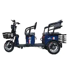 Chinese can customize the latest Carrying cargo and carrying people tricycle electric tricycles Pick up children and old people