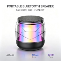 Haut-parleur portable RGB sans fil 5.3 avec mini-haut-parleur de 40 mm, lecteur de carte TF, rechargeable Type-C, étanche IPX2 et télécommande