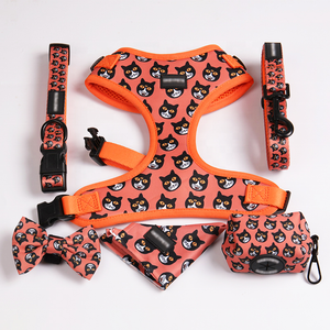 Conjunto de Arnés, <span class=keywords><strong>Collar</strong></span> y Correa para Perro Personalizado QQPETS por Sublimación, Diseño Anti Tirones, Equipo Prémium de Malla de Poliéster/Nailon para Mascotas - Product Image 3