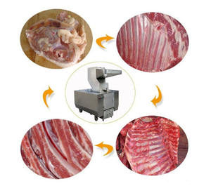 Trituradora de Huesos de Alta Calidad, Mejor Precio, Máquina Trituradora de Huesos - Product Image 6