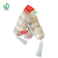Fournisseur chinois de nouvelle récolte d'ail frais à bas prix pour la vente sur le marché colombien/chilien