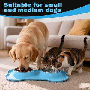 Comederos para Perros, 2 Tazones de Acero Inoxidable con Tapete de Silicona Antideslizante para Perros Pequeños y Medianos, Plato para Comida y Agua - Product Image 3