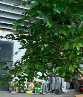 Arbre ficus artificiel unique de grande taille pour la décoration d'hôtel, intérieur et extérieur, simulation luxuriante d'arbre banian, plantes de jardin