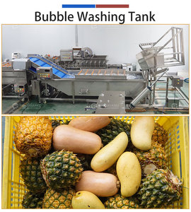 Tanque de Lavado de Burbujas para Frutas, Máquina de Limpieza de Burbujas para Frutas Frescas como Granada, Piña y Mango, para Procesamiento de Frutas - Product Image 4