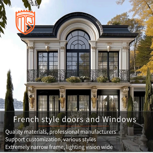 Ventana Francesa Vintage <span class=keywords><strong>de</strong></span> Aluminio con una Sola Bisagra, Ventana Metálica <span class=keywords><strong>de</strong></span> <span class=keywords><strong>Lujo</strong></span> con Doble Bisagra para Exteriores <span class=keywords><strong>de</strong></span> Casa, Venta Directa <span class=keywords><strong>de</strong></span> Fábrica - Product Image 5