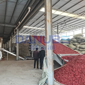 Secador de chiles con cinta transportadora de malla industrial, línea de producción de secado de chiles, máquina deshumidificadora de chiles - Product Image 2