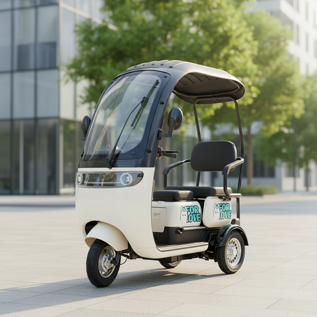 2-Seater Canopy Electric Three-Wheel Scooter for Elderly Family - Weatherproof Cover Personal Mobility Vehicle with Comfort Seat