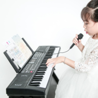 BD MUSIC BD-613 61 Key LED Electronic Digital Piano Keyboard Instruments Portable Teclado Musical Electric Organ