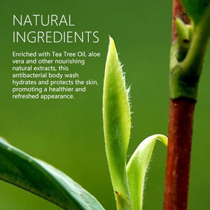 Gel de ducha refrescante de lavado corporal antibacteriano de árbol de té de hierbas de etiqueta privada para acné Eczema <span class=keywords><strong>Jock</strong></span> <span class=keywords><strong>Itch</strong></span> blanqueamiento efecto burbujeante - Product Image 4