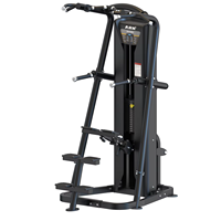 Nouvel Arrivage 2026 – Appareil de Musculation Commercial ARK 8015 pour Entraînement des Muscles Abdominaux et de Force, Pile de Poids 100KG