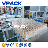 Système de mise en sac semi-automatique manuel pour bouteilles vides, ensacheuse de bouteilles vides en PP, PE, PET, HDPE, film plastique, machine d'emballage pour bouteilles vides