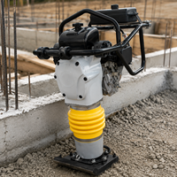 Prix de gros direct usine : Compacteur vibrant diesel Frog Tamping, type 'Jumping Jack', à vendre