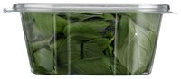 Emballage transparent pour micro-légumes, conteneur de 3 oz pour basilic, emballage pour menthe, conteneur pour feuilles de basilic