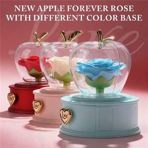 กล่องแอปเปิ้ลกุหลาบอมตะ Iceevery พร้อมสร้อยคอจี้รูปหัวใจประดับคริสตัลและเพชรเทียม ของขวัญสำหรับผู้หญิง แทนความรักนิรันดร์ - Product Image 3