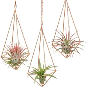 LQ succulent moss Colorful Hanging Airplant Table Number jewelry & Place Card holder iron geometric wire basket