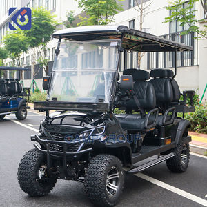 캠프 6인승 골프 카트 럭셔리 가솔린 오프로드 골프 버기 클럽 카 가스 구동 골프 카트 - Product Image 3