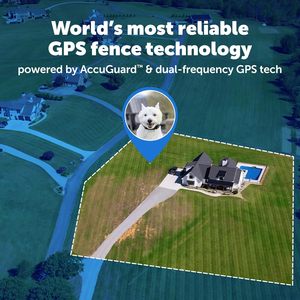 ปลอกคอสุนัข PetSafe Guardian GPS 2.0 พร้อมระบบติดตามแบบเรียลไทม์ กันน้ำระดับ IP67 ระบบติดตามสัตว์เลี้ยงอัจฉริยะ 4G สำหรับสุนัข - Product Image 2
