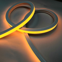 Bande LED RGB 5050 étanche IP65 avec profil ABS, contrôleur CRI80 DC24V, dimmable, pour aménagement paysager extérieur et Noël