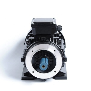 Efficienza Premium della serie IE2 2hp 3hp 10hp 15hp 20hp motore elettrico asincrono a induzione con alta velocità di alta qualità - Product Image 2
