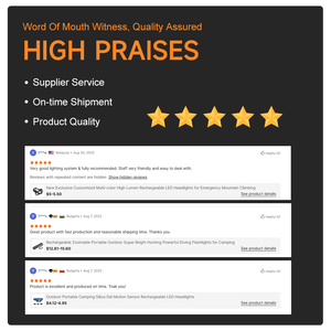 Lampu Taman Tenaga Surya Tahan Air IP65 untuk Luar Ruangan, Lampu Jalur Dekoratif Retro LED, Lampu Taman Tenaga Surya untuk Halaman dan Kebun - Product Image 5