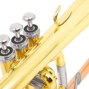 Flugelhorn Professionale di Alta Qualità in Ottone Fosforoso con Bocchino Laccato Oro, Strumento in Cupronichel con Foro da 11,3 mm - Product Image 5