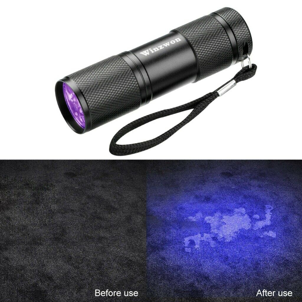 Mini Ultra Violet LED Lampe De Poche/lumière Noire, UV Lampe De Poche Led 395nm Pet Urine Et Detecteur De Taches Trouver Les Taches Sur Les Vetements Moquettes Ou Tapis 91845476