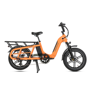 Ogni terreno Fatbike 20*3.0 pneumatici sospensione forcella 48 v15ah batteria freni idraulici <span class=keywords><strong>Cargo</strong></span> elettrico <span class=keywords><strong>bicicletta</strong></span> - Product Image 1