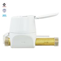 Compteur d'eau intelligent à ultrasons LoRaWAN VIEWSHINE