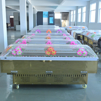 Ataúd de exhibición mortuoria de alta resistencia con cubierta transparente de cristal y unidad de enfriamiento directo para servicios funerarios profesionales